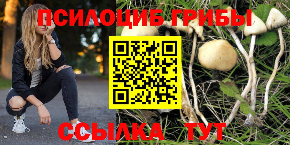 Волгоград  Галлюциногенные грибы Magic Shrooms  Вход с VPN 